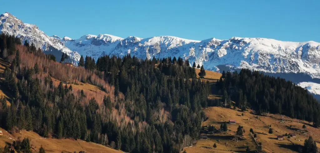 Drumeții